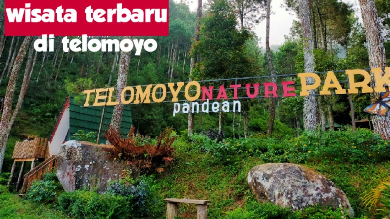 Telomoyo Nature Park: Menjelajahi Pesona Alam di Lereng Gunung Telomoyo